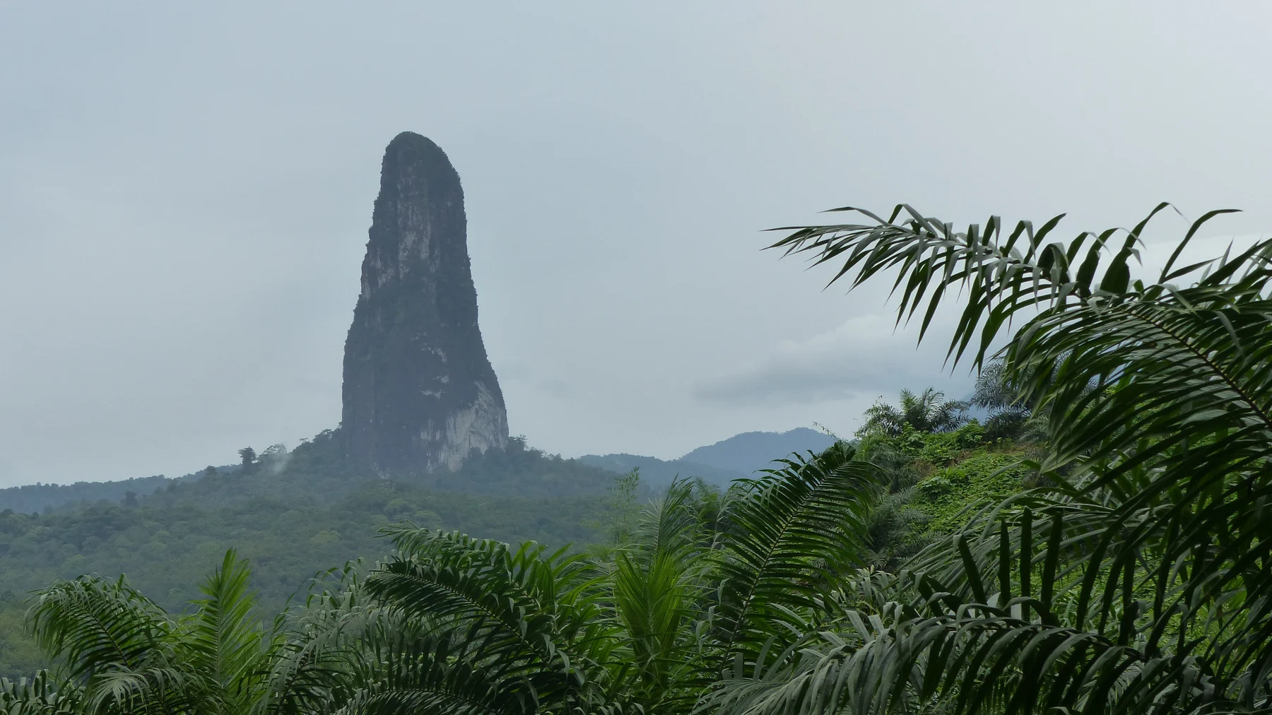 Pico Cão Grande rodeado de vegetação em São Tomé